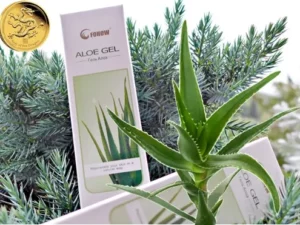 Gel de aloe vera